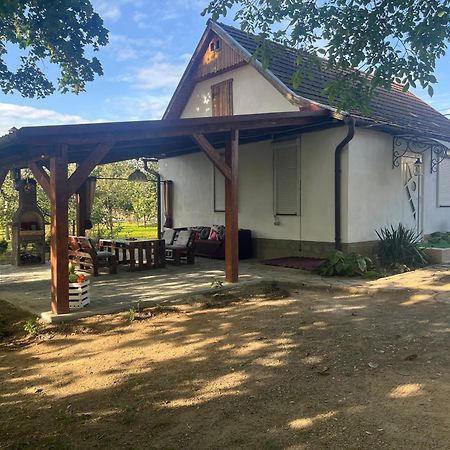 Hotel Окремий Будинок-Апартаменти Rakoshyno Ngoại thất bức ảnh