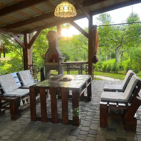 Hotel Окремий Будинок-Апартаменти Rakoshyno Ngoại thất bức ảnh