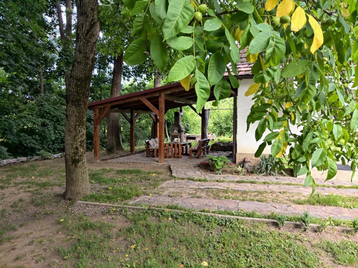 Hotel Окремий Будинок-Апартаменти Rakoshyno Ngoại thất bức ảnh
